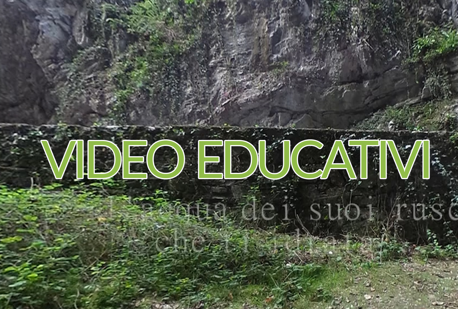 Video Educativi